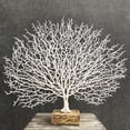 thumbnail image 3 of AMLESO Plastic Coral Sculpture Table Top Ornament Decor Tabletop Figurine White, 3 of 7