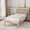 White, variant on Novilla 12" Solid Wood Bed Frame,Full,Walnut