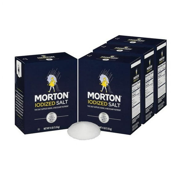 4 Pack Morton Iodized Salt (4 lbs.)
