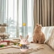 thumbnail image 1 of Dispensador de golosinas Yinane Cat Treat Ball Tumbler Juguete interactivo para gatos y perros Rosa, 1 of 8