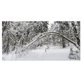 thumbnail image 2 of Buggy Forêt d'Hiver Noir et Blanc - Art sur Toile Forêt Moderne, 2 of 3