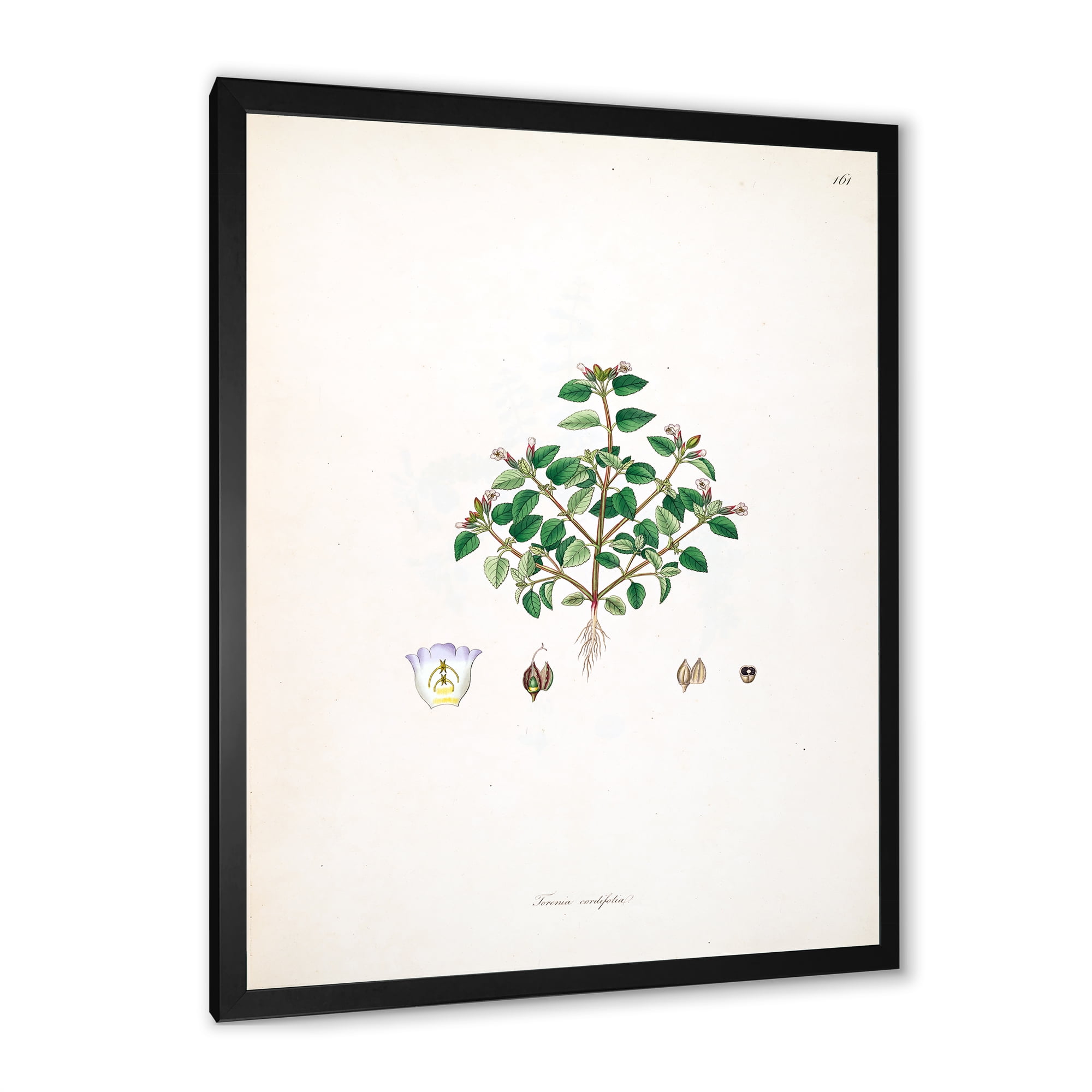 Designart 'Ancient Plant Life XIII' Farmhouse Framed Art Print