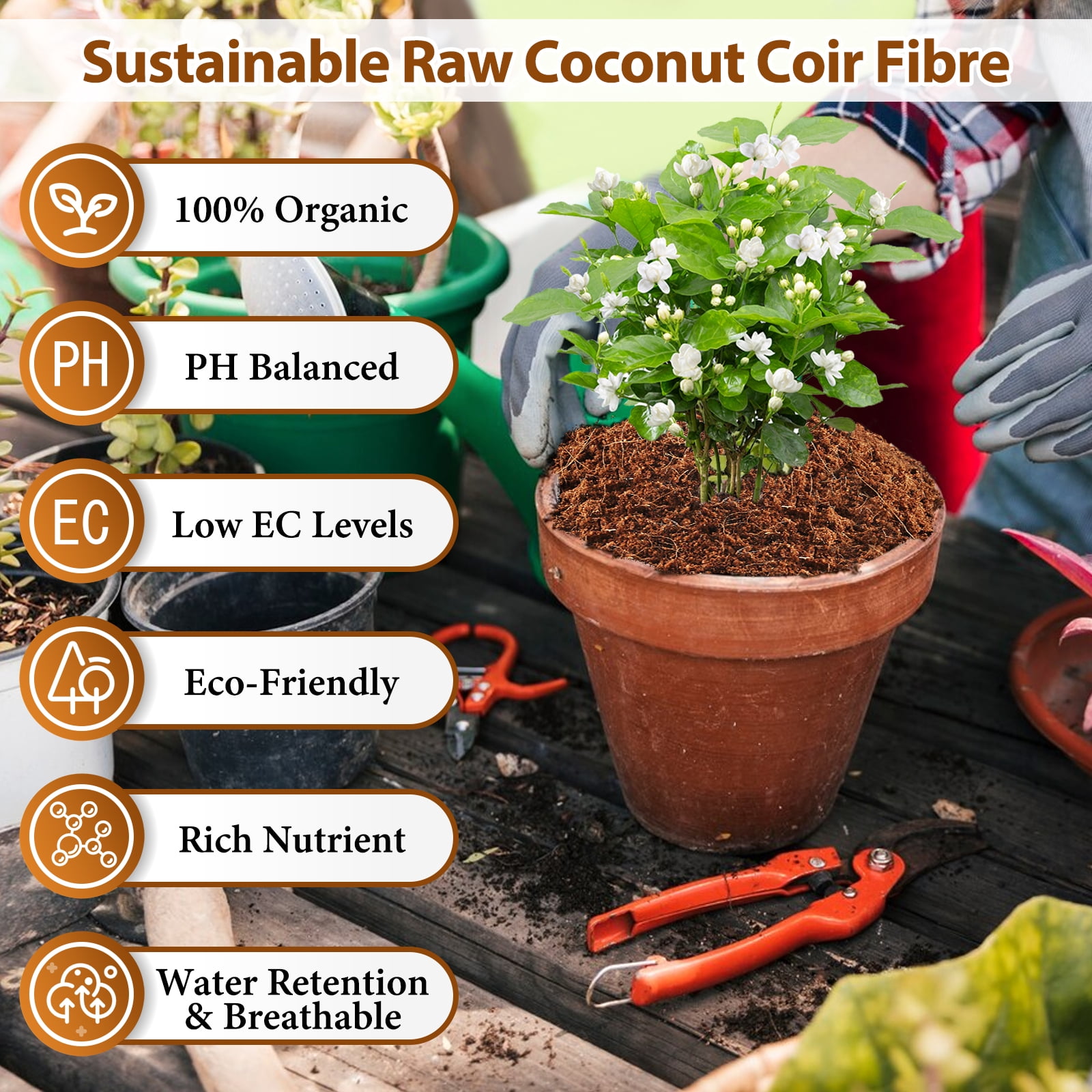 Pack of 10 Organic Coco Coir Bricks- 100% Natural Compressed Coco Peat Brick Coconut Fiber Substrate with Low EC& pH Balance, Coir Plant Soil Enhance Root Growth for Herbs, Flowers, House Plants