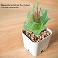 thumbnail image 6 of Unpotted Artificial Succulent Plant - Faux Plastic Decor for Home Office DIY Projects (#4), 6 of 7
