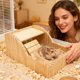 thumbnail image 2 of Hamster Sand Bath Box Wooden Small Animals Shower Room Chinchilla Digging Sand Bathtub Container with Climbing Ladder Bowl for Dwarf Syrian Mice Mouse Gerbils Hedgehog, 2 of 5