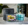 thumbnail image 4 of Cucumber Melon Scented Wax Melt - 1 Pack - 2 Ounces - 6 Cubes, 4 of 5