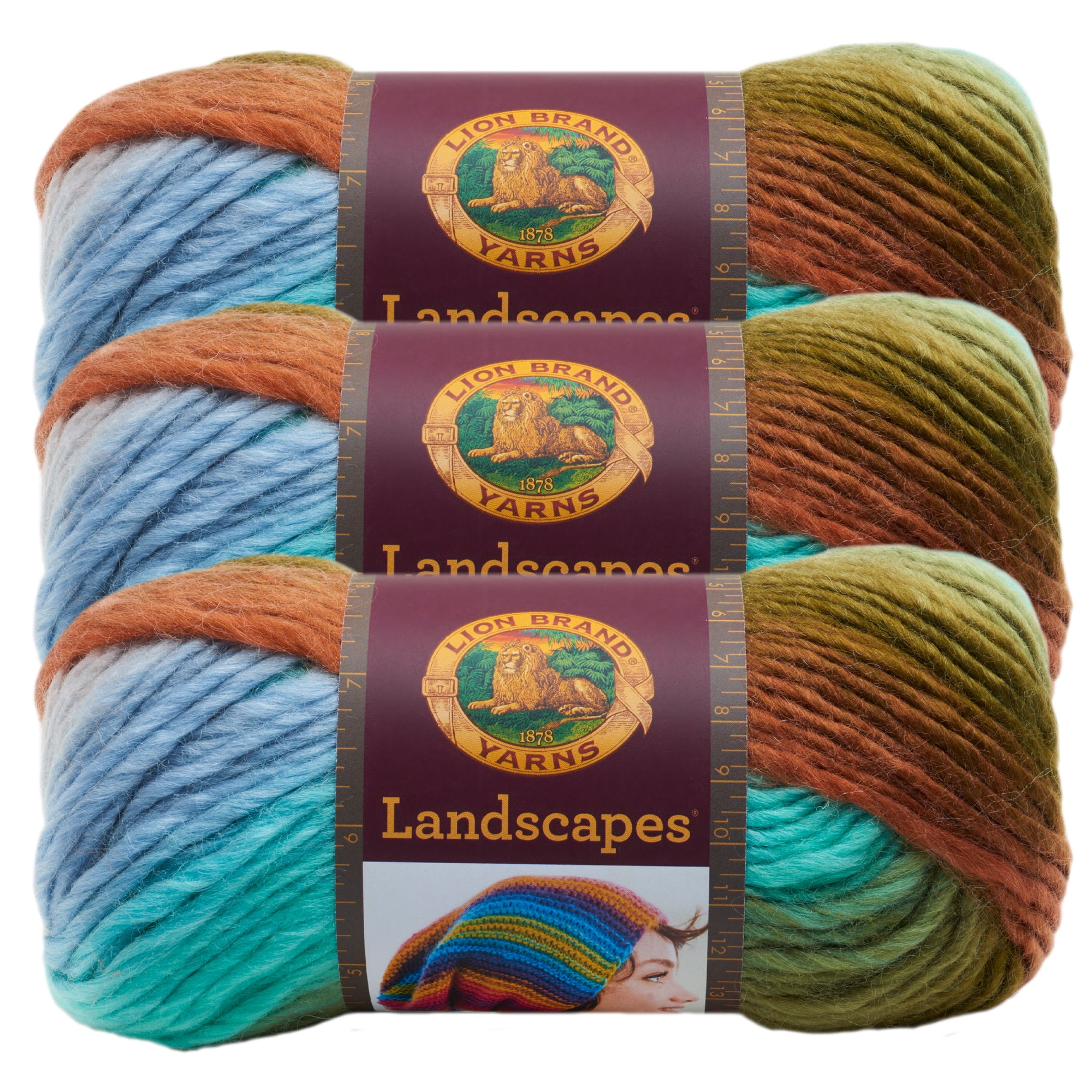 Lion Brand Medium Acrylic Meadow Yarn, 147 yd
