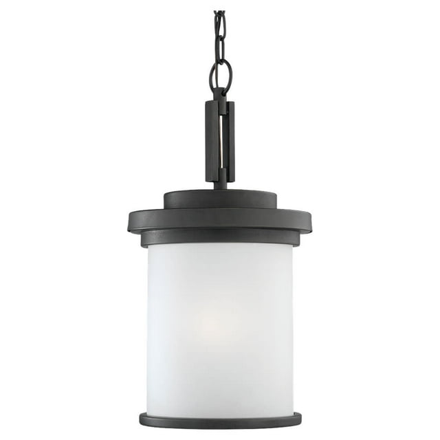 Sea Gull Lighting Black Corded Electric Outdoor Hanging Lantern