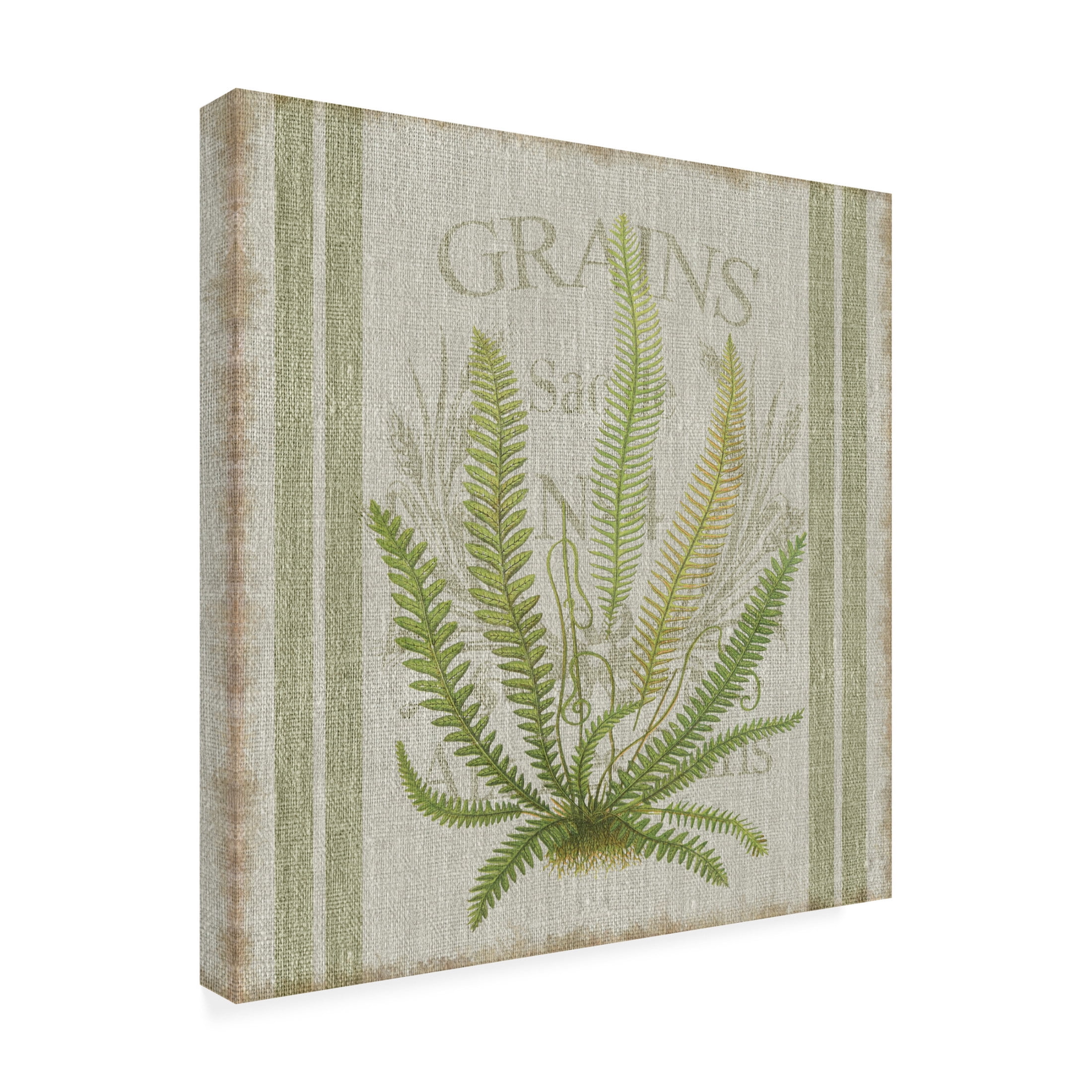 Canvas Wall Art - Cora Niele 'Fern On Flour Sack 02' Wall Art for Living Room, Bedroom, or Office Décor by Trademark Fine Art - 24 x 24 Inches