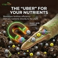 thumbnail image 6 of GS Plant Foods Organic Liquid Humic Acid with Fulvic - Concentrate Fertilizer for Enhanced Nutrient Uptake and Soil Conditioning - 1 Gallon, 6 of 9