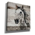 thumbnail image 2 of Epic Graffiti 'Sparkle Horse 4' by Irena Orlov, Canvas Wall Art, 12"x12", 2 of 3