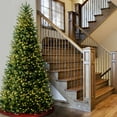 thumbnail image 2 of National Tree Company 15 ft. Natural Fraser Slim Fir Tree with Clear Lights, 2 of 3
