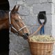 thumbnail image 4 of Anilla de acero resistente para atar caballos con expansión para amarrar y atar caballos de forma segura en establos y vallas, 4 of 8
