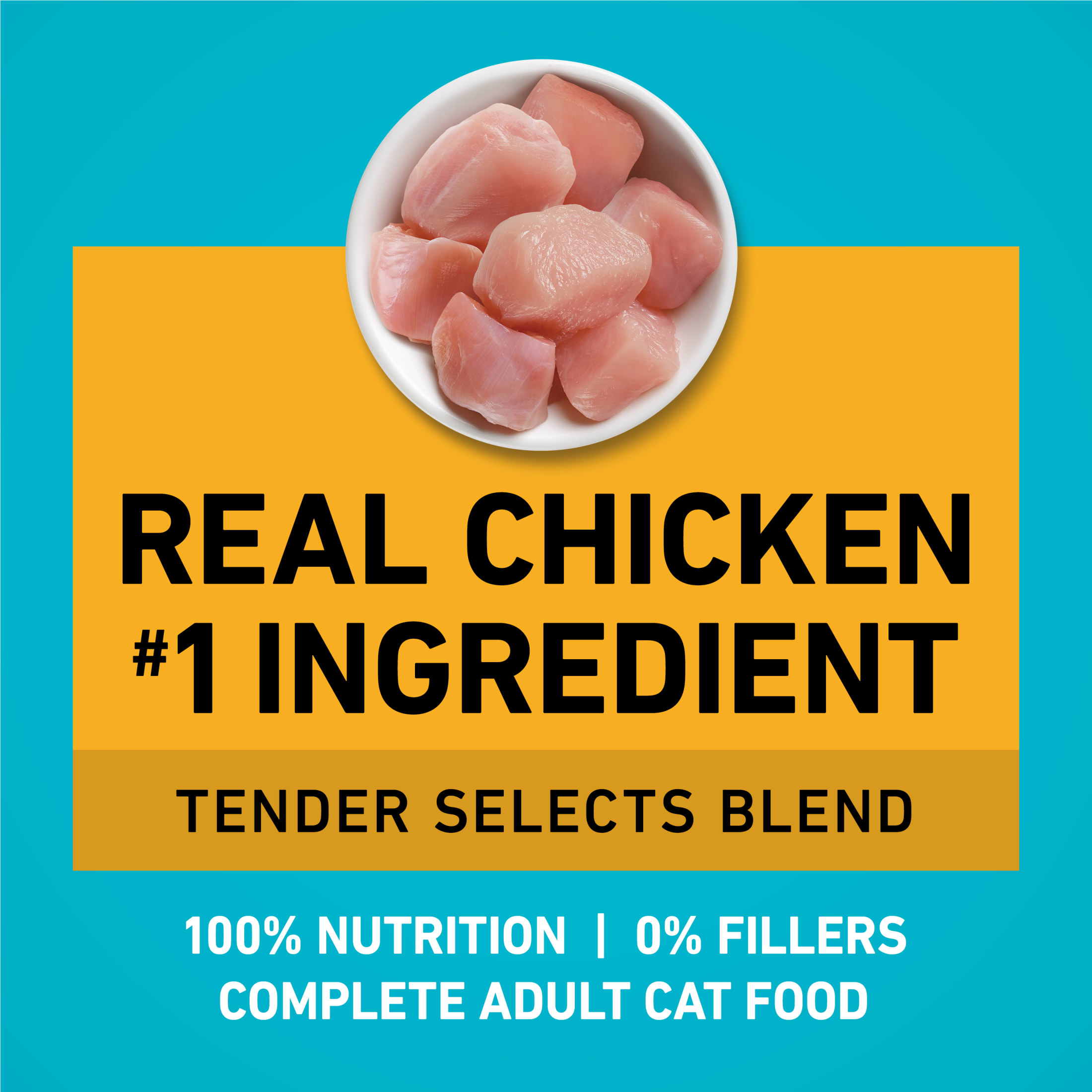 Purina ONE Tender Select Blends Dry Cat Food Chicken photo 5
