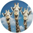 thumbnail image 2 of Coolnut Round Braided Placemats Set of 4,Funny Giraffes Washable Dining Table Durable PVC 15 Inch Non-Slip Heat Resistant Place Mats for Table Decor Home Decor, 2 of 7