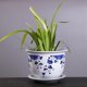 thumbnail image 5 of Maceta de cerámica de porcelana azul y blanca con bandeja, maceta grande de hierro para árbol, maceta hidropónica para balcón, para jardinería doméstica, 5 of 6