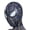 A, variant on Halloween Spider Print Head Mask, Funny Full Face Hood for Adult Cosplay Party Fancy Dress Accessory