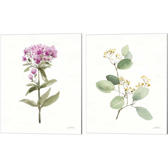 Great Art Now Flowers of the Wild B by Katrina Pete 2 Piece Canvas Art Set Each 12"W x 15"H