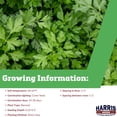 thumbnail image 2 of Harris Seeds Peione Parsley, Dark Green Flat Leaf Herb for Fresh Harvests, 50 Count, 2 of 7