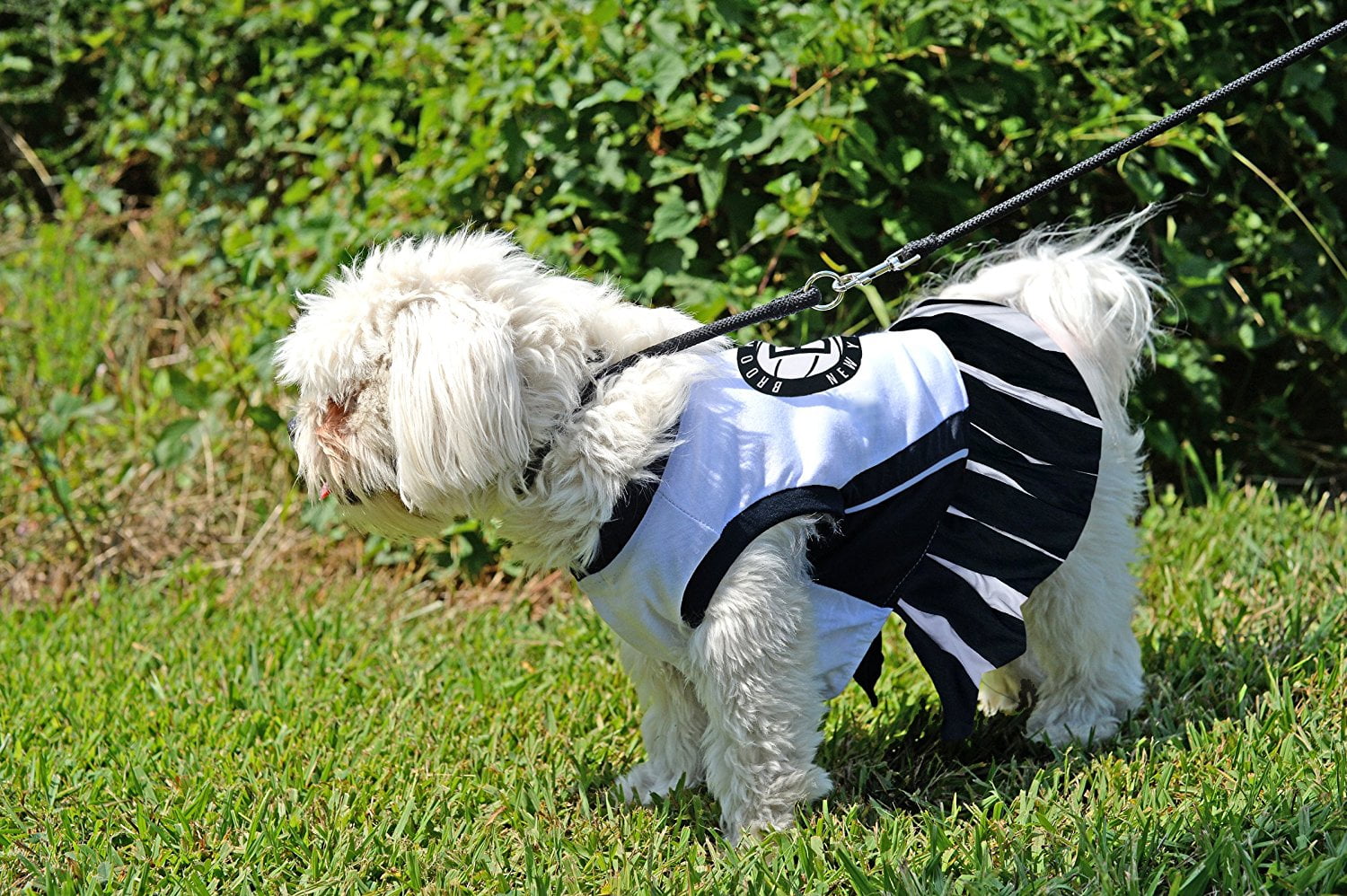 Brooklyn Nets Dog Cheerleader Outfit