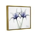 thumbnail image 4 of Stupell Industries X-Ray Lily Flowers Botanical & Floral Photography Gold Floater Framed Art Print Wall Art, 31 x 25, 4 of 10