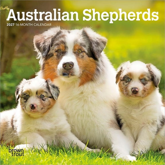 Australian Shepherds | 2027 7x14" (Hanging) Mini Wall Calendar