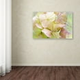 thumbnail image 3 of Trademark Fine Art 'Meditation' Canvas Art by Tina Lavoie, 3 of 3