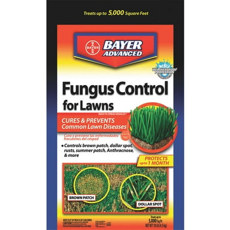 Bayer Advanced Fungus & Disease Control For Lawns