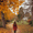 Cat, variant on Autumn Central Park Sunset Lake Canvas Wall Art for Living Room Bedroom Dining Room Office Hallway Hotel Decor