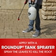 thumbnail image 6 of Roundup Concentrate Plus Weed and Grass Killer, 35.2 oz., 6 of 13