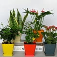 thumbnail image 3 of Nordic Style Square Flowerpot Solid Color Plant Container with Tray Office Decor, 3 of 10