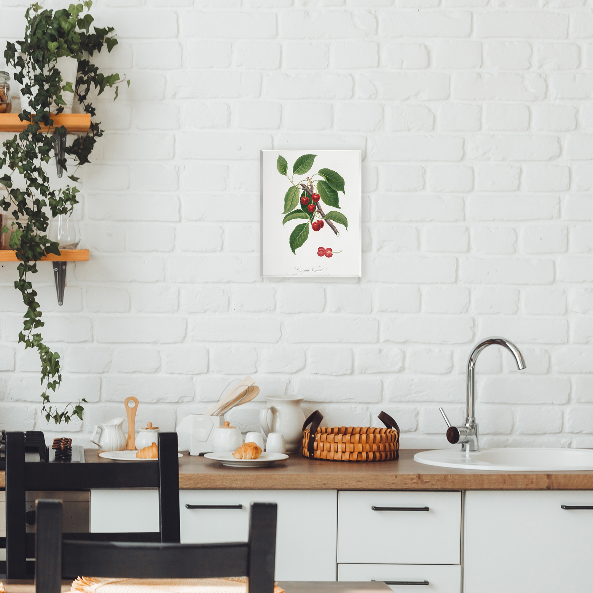 Latin Study of Cherry Plant Wall Plaque Art, design by Lettered and Lined