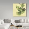thumbnail image 3 of Trademark Fine Art 'Gingko Leaves II Dark' Canvas Art by Chris Paschke, 3 of 3
