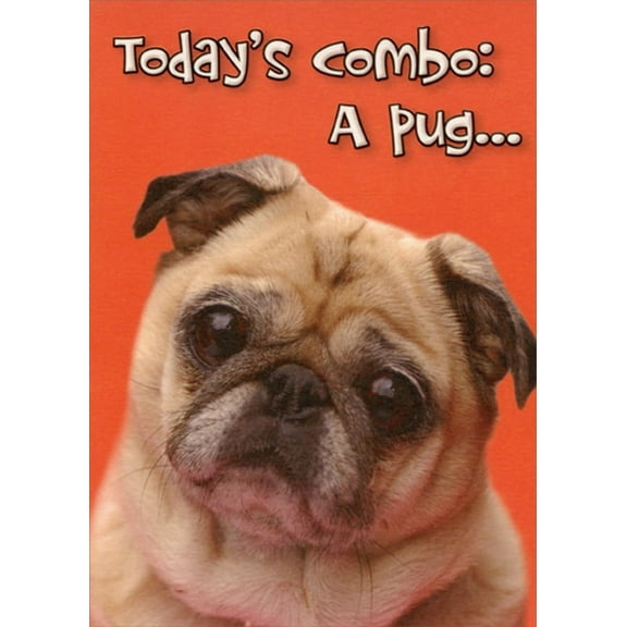 Designer Greetings Today's Combo Pug Funny : Humorous Dog Birthday Card