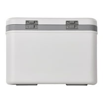 21 Quart Insulated Hard Cooler - 30 Can Portable Cooler with Comfort Handles & Strap