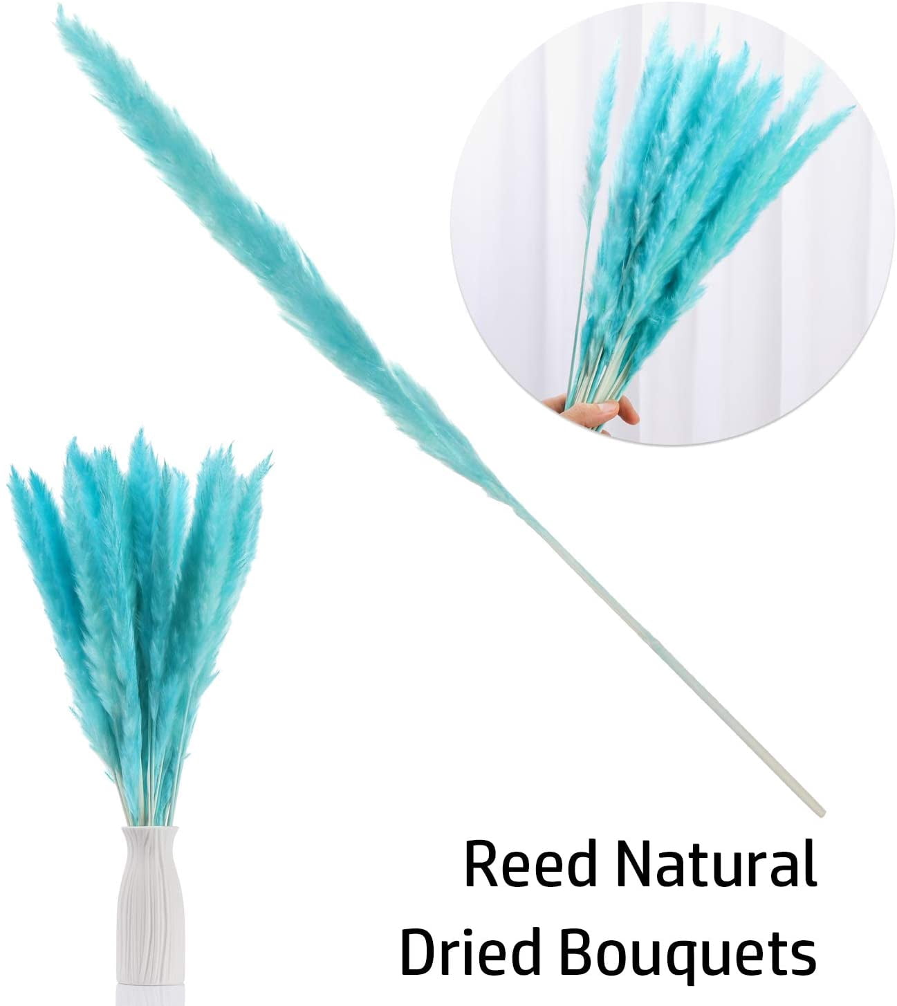 30pcs Dried Flowers Natural Dried Pampas Grass Reed Plant Real Flowers Romantic Wedding Flower Bulrush Bouquets Flavorful Durable for DIY Home Decor Matching Photography
