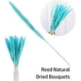 thumbnail image 6 of 15pcs Dried Flowers 17 inch Natural Dried Pampas Grass Reed Plant with Box Real Flowers Romantic Wedding Flower Bulrush Bouquets Flavorful Durable for DIY Home Decor Matching Photography (Blue), 6 of 14