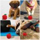 thumbnail image 2 of GOOHOCHY 2 piezas Juguete de morder para perros tejido con forma de manzana, juguete para mascotas con forma de manzana, juguete de juguete para perros simulado, 2 of 7