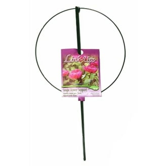 green emerald velvet dress Amazon.com : Top Dress Seedling Cover and Growth Accelerator, 600-750  sq.ft