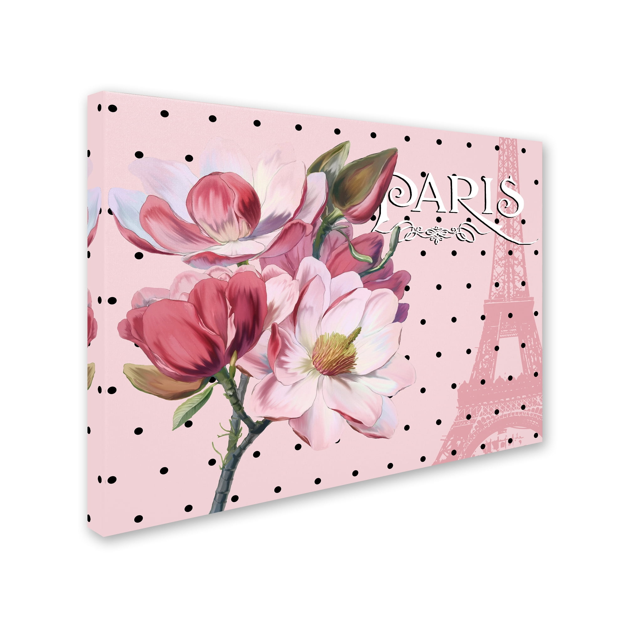 Trademark Fine Art 'Paris Magnolias I' Canvas Art by Tina Lavoie