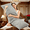 Gray, variant on Oaskys Shredded Foam Full Body Pillow for Adults Pregnancy and Side Sleeping, 2-Compartment Side Sleeper Support Cushion with Removable Washable Cover