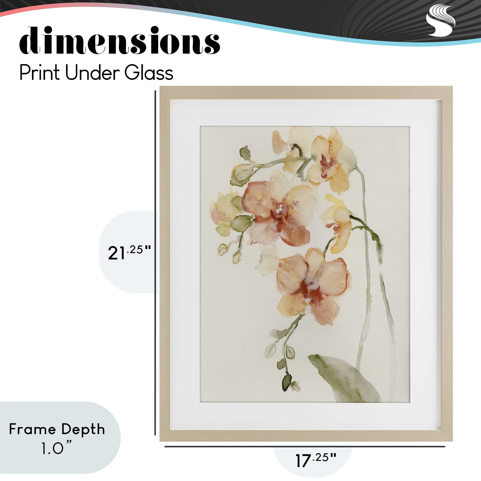 Stupell Industries Peach Orchid in Bloom Birch Framed Print Under Glass, design by Victoria Barnes