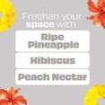 thumbnail image 3 of Glade Small Room Freshener Hawaiian Breeze 1+1 Kit, 3 of 12