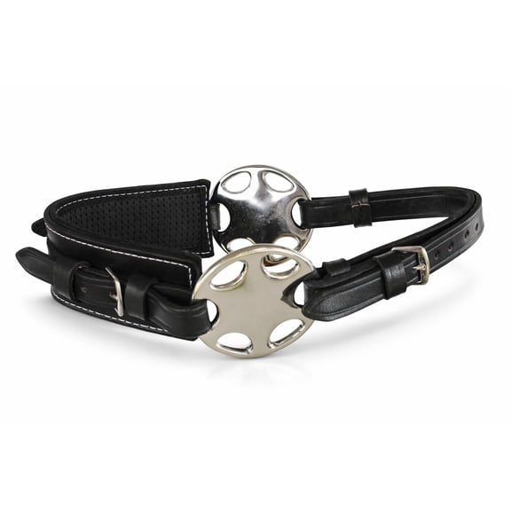 Horse English Western Bitless Neoprene Padded Black Leather Hackamore 35H59