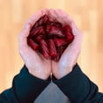 thumbnail image 6 of Wiley Wallaby Hot Cinnamon Licorice Candy with Soft Chewy Delicious Flavor Fat-Free and Vegan Friendly for Kids Adults Snacks Dessert Picnic Movie Night Goodie Bag Filler Party Favor 4oz Pack of 4, 6 of 6