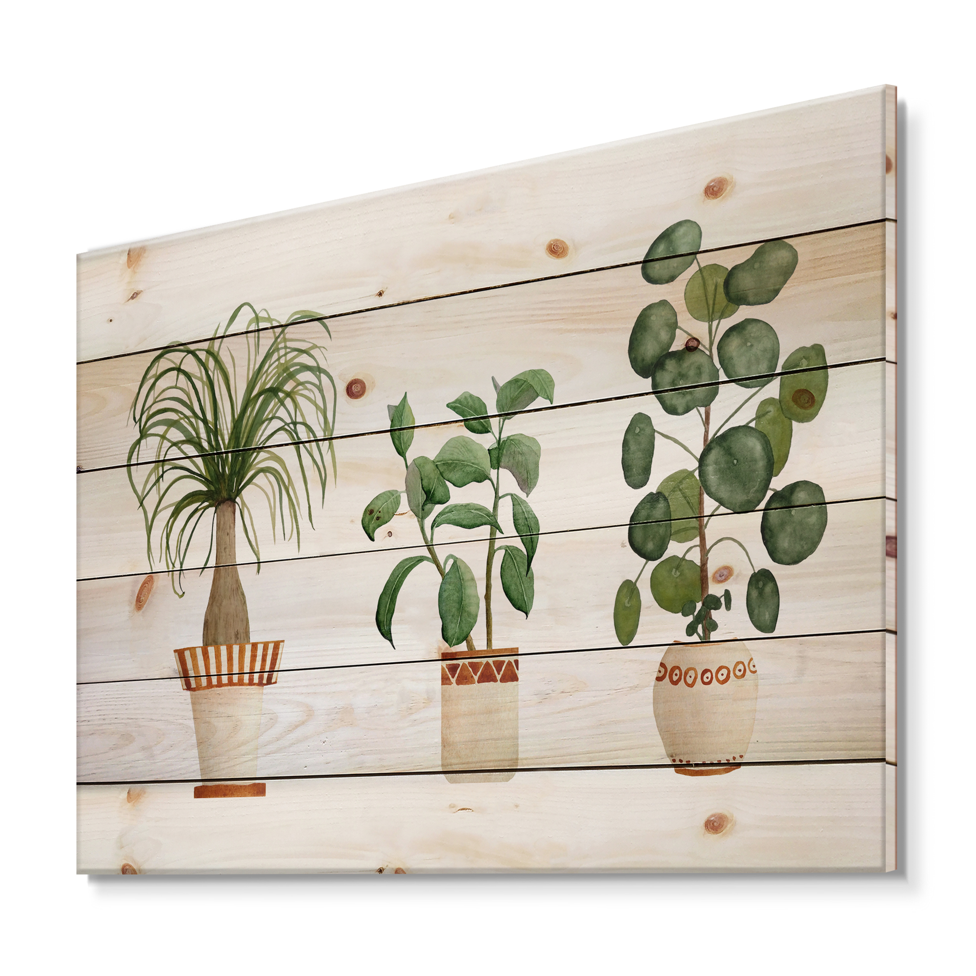 Designart 'Trio of House Plants Ficus Ponytail and Palm' Traditional Print on Natural Pine Wood