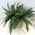 thumbnail image 6 of Fankiway 56cm Artificial Boston Fern Green Silk Cloth Planter, 6 of 8