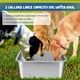 thumbnail image 2 of Tazón de Agua Extragrande de 3 Galones para Perros Grandes, Tazón de Acero Inoxidable de Alta Capacidad para Agua y Comida para Mascotas., 2 of 7