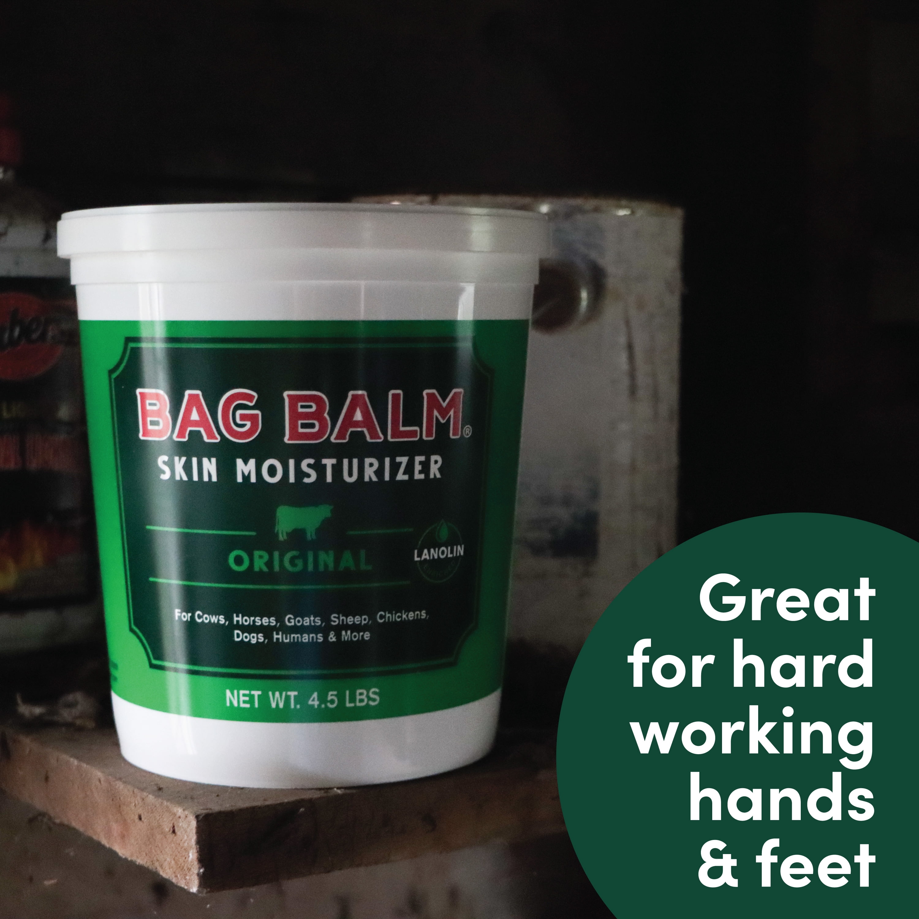 (2 pack) Vermont's Original Bag Balm Moisturizing Ointment for Animals, Pets, Livestock, Paws, Jumbo Pail