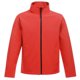 thumbnail image 1 of Regatta Standout - Chaqueta Soft Shell imprimible Ablaze para chico hombre (Rojo Clásico/Negro), 1 of 3